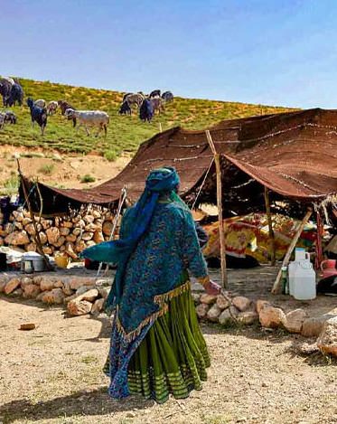 مستند رد پای ایل