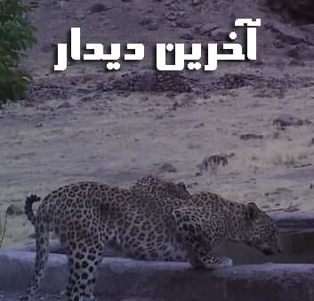 مستند آخرین دیدار