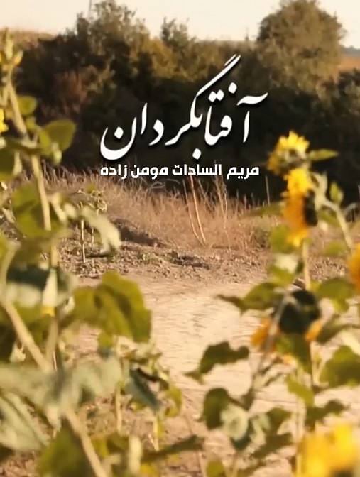 مستند آفتابگردان