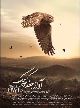 مستند آواز جغد کوچک