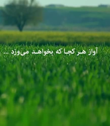 مستند آواز هر کجا که بخواهد می وزد
