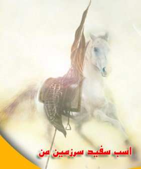 مستند اسب سفید سرزمین من