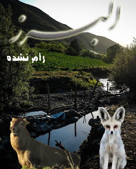 مستند البرز رام نشده