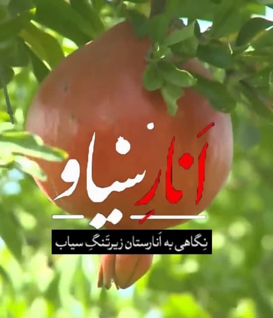 مستند انار سیاو