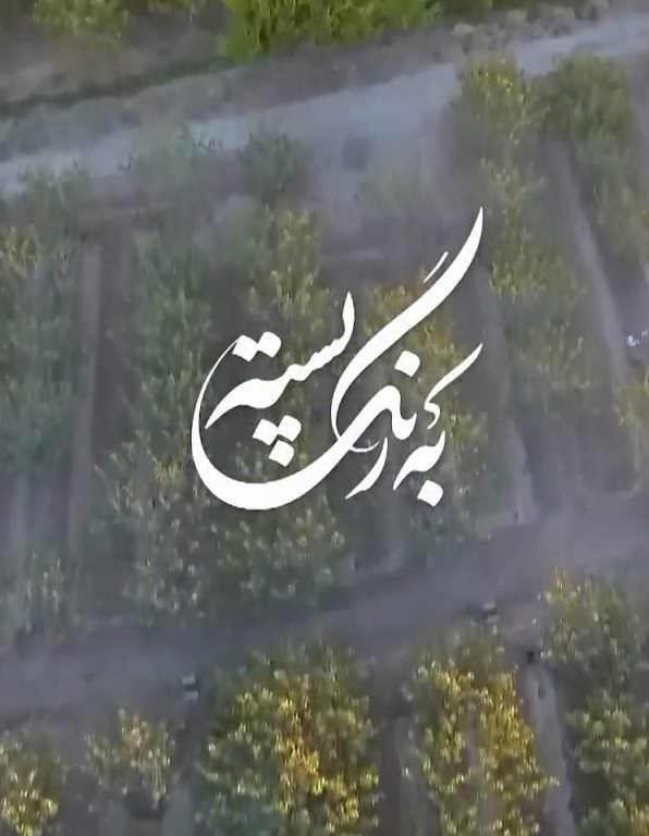 مستند به رنگ پسته