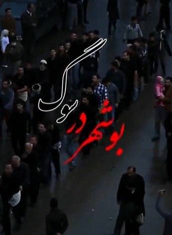 مستند بوشهر در سوگ