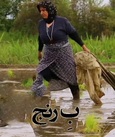 مستند ب رنج