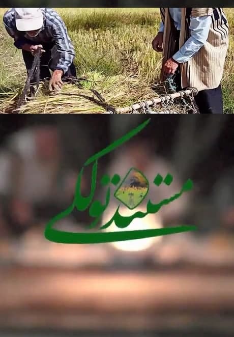 مستند تولکی