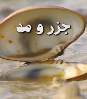 مستند جزر و مد