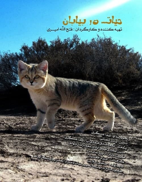مستند حیات در بیابان