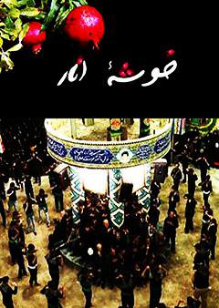 مستند خوشه انار