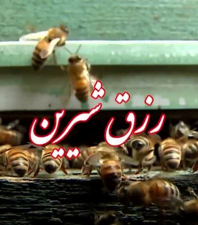 مستند رزق شیرین