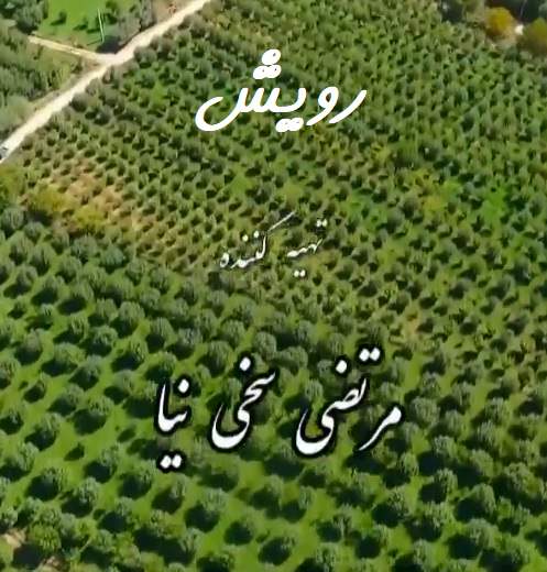 مستند رویش
