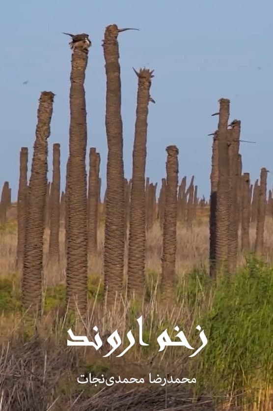 مستند زخم اروند