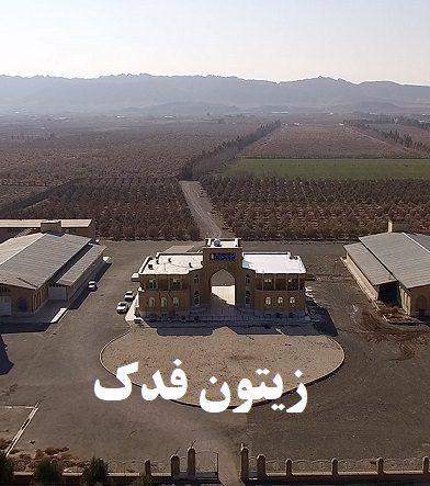 مستند زیتون فدک