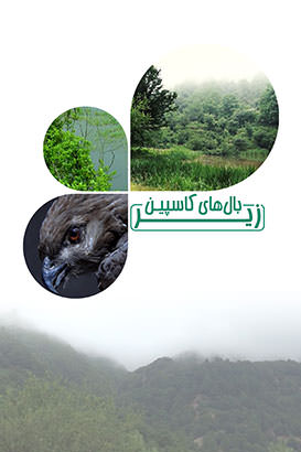 مستند زیر بالهای کاسپین