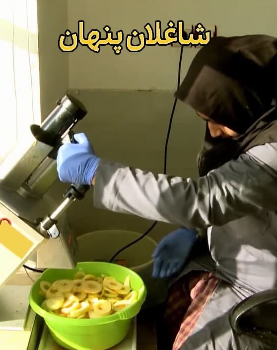 مستند شاغلان پنهان