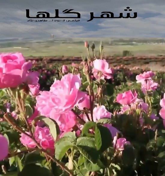مستند شهر گلها