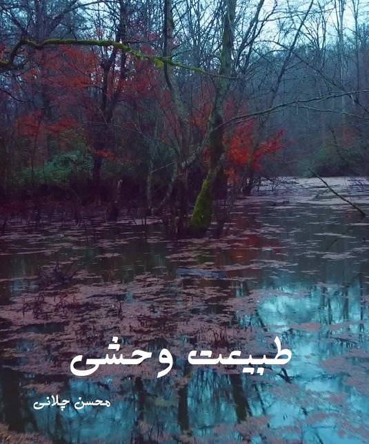 مستند طبیعت وحشی