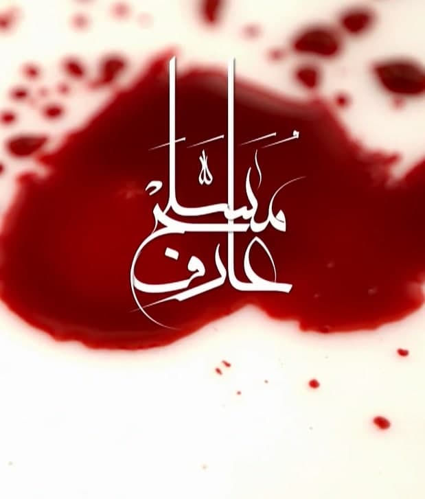 مستند عارف مسلح