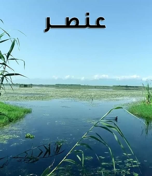مستند عنصر