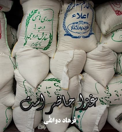 مستند غذا حاضر است