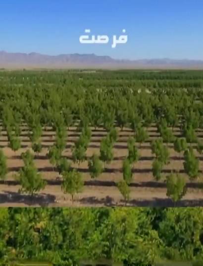 مستند فرصت