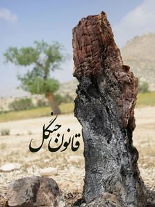 مستند قانون جنگل