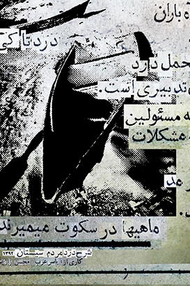 مستند ماهی ها در سکوت می میرند