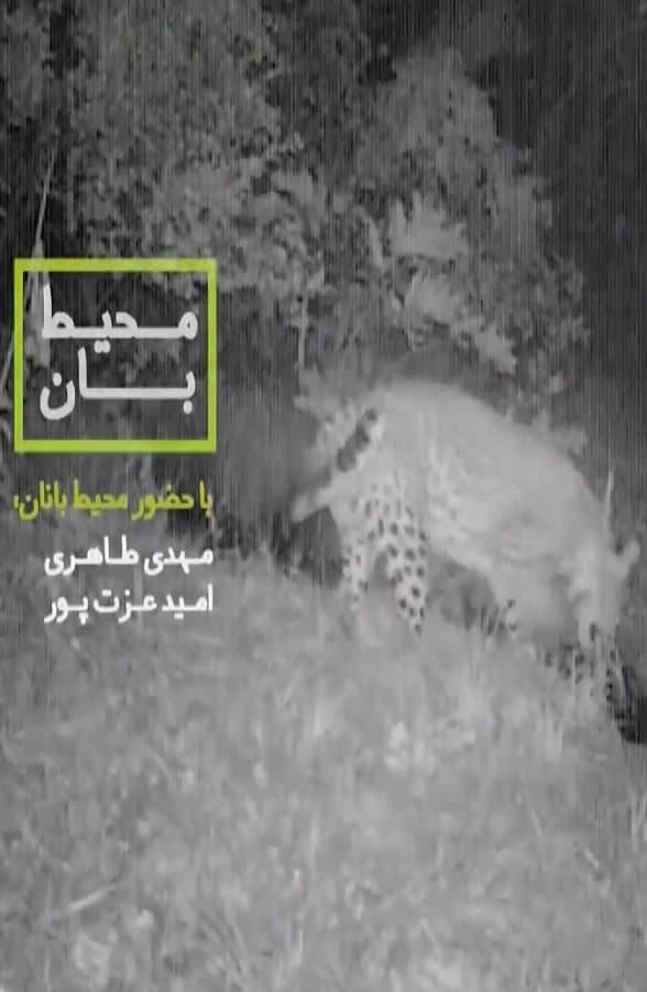 مستند محیط بان