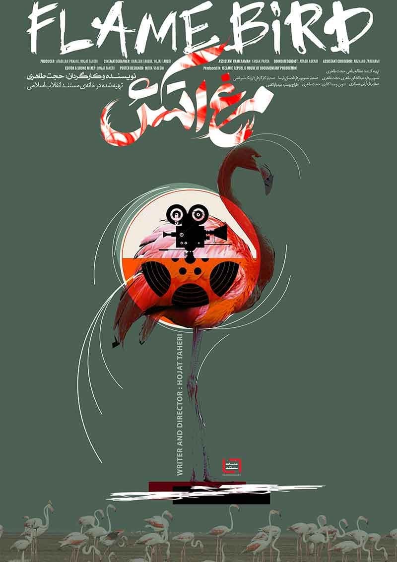 مستند مرغ آتش