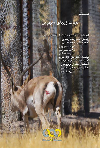 مستند نجات زیبای سهرین