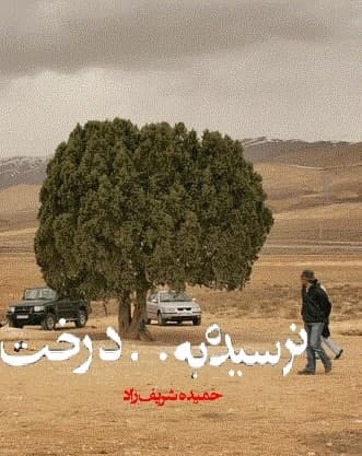 مستند نرسیده به درخت مستند نرسیده به درخت