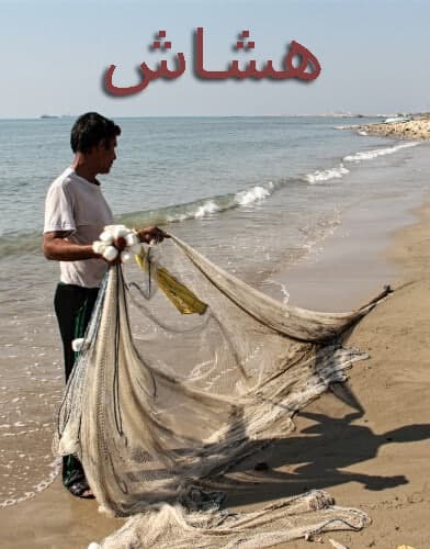 مستند هشاش
