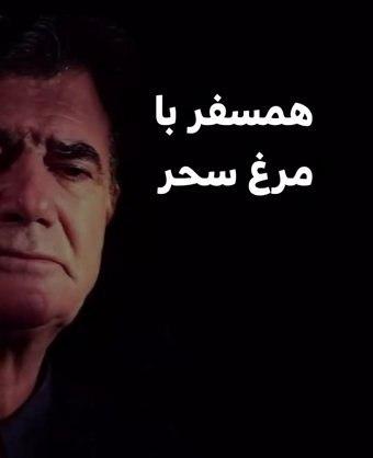 مستند همسفر با مرغ سحر
