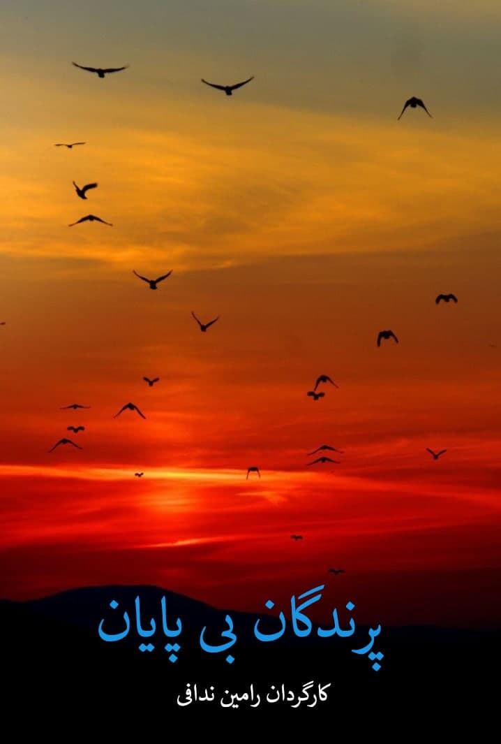 مستند پرندگان بی پایان