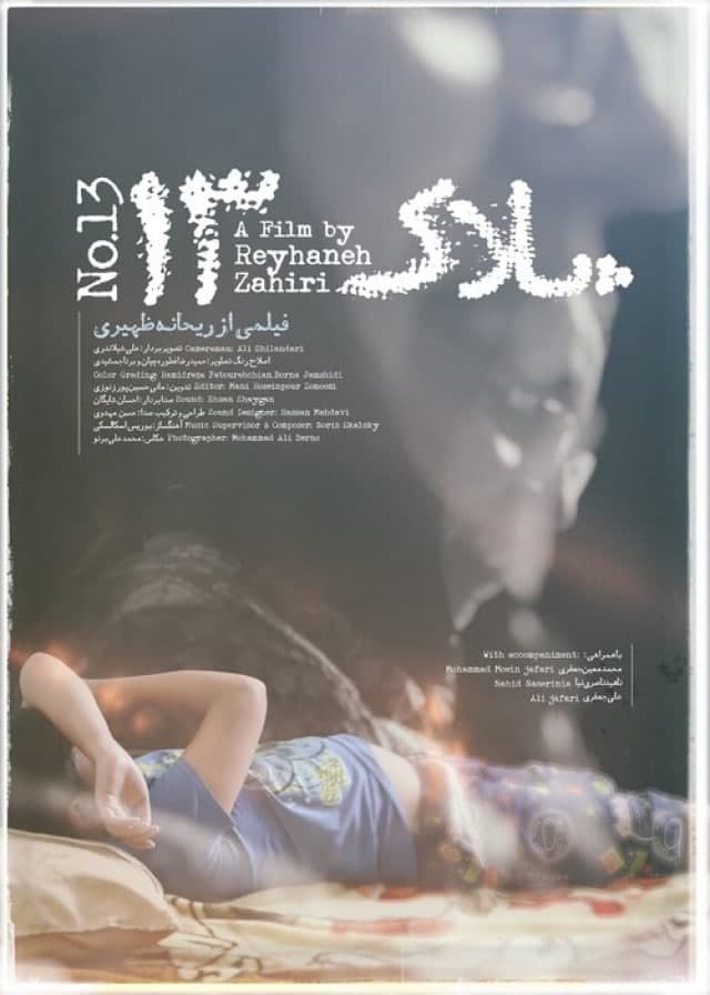 مستند پلاک 13