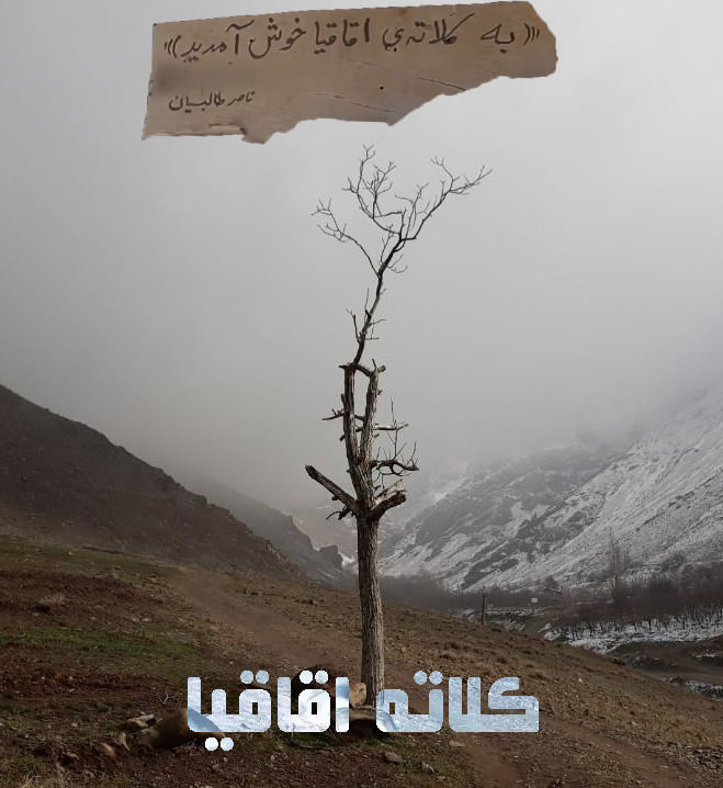 مستند کلاته اقاقیا