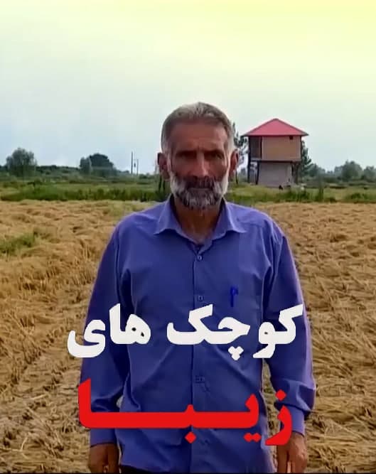مستند کوچک های زیبا