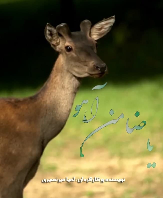 مستند یا ضامن آهو