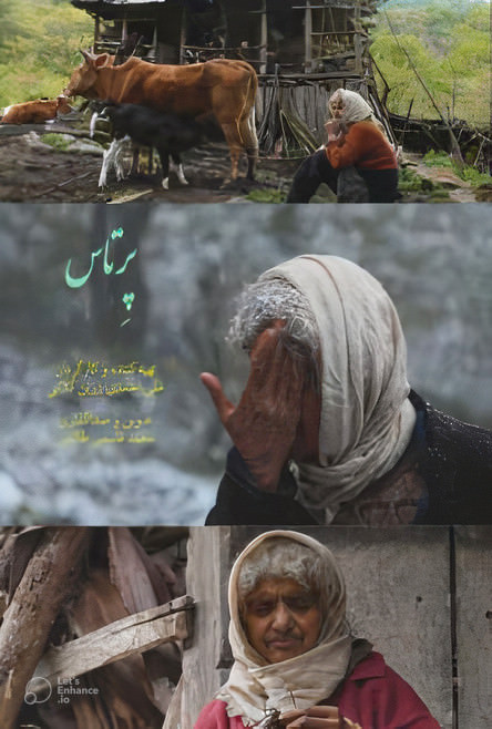 مستند پرتاس