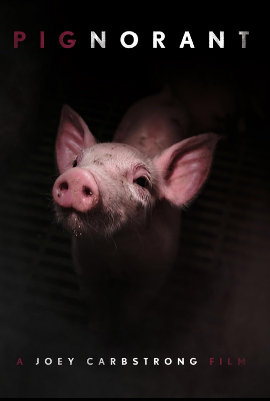 مستند Pignorant