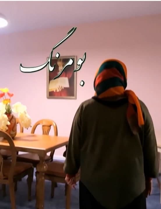 مستند بومرنگ