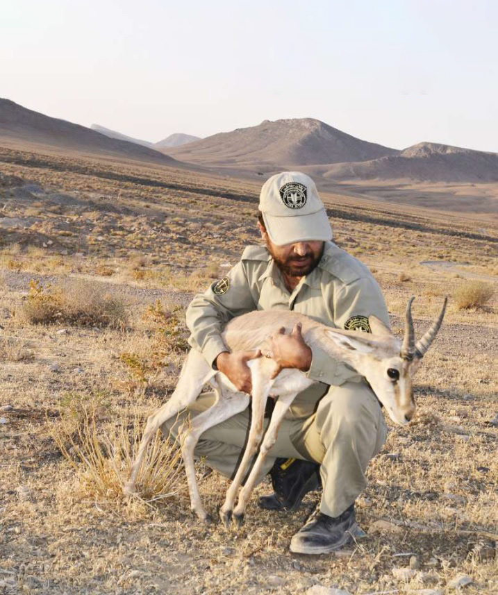 مستند محیط بان مند