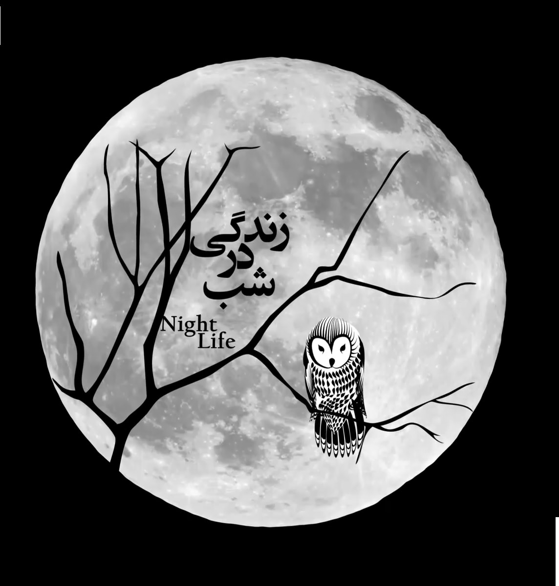 مستند زندگی در شب