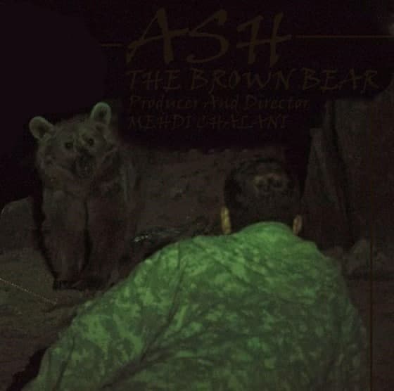 مستند اش خرس قهوه ای