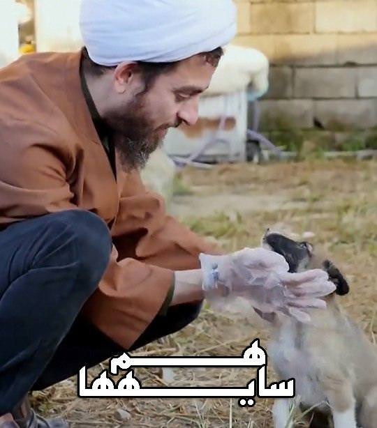 مستند هم سایه ها