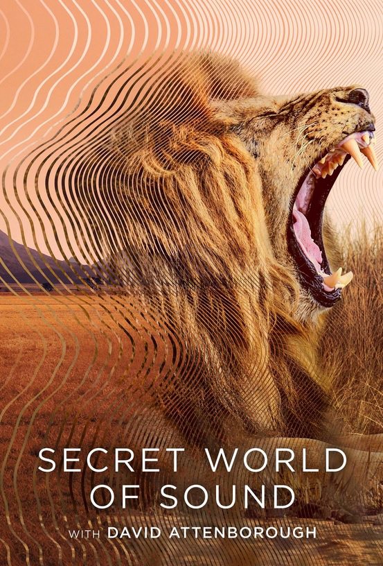 دانلود مستند Secret World of Sound with David Attenborough با زیرنویس فارسی