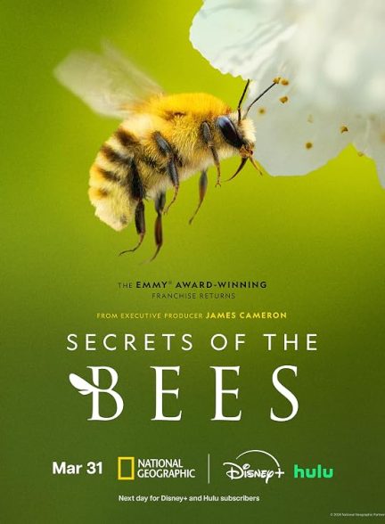 مستند Secrets of the Bees با زیرنویس فارسی