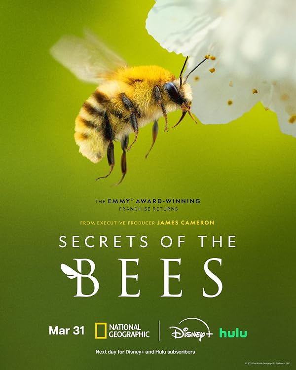 مستند Secrets of the Bees با زیرنویس فارسی